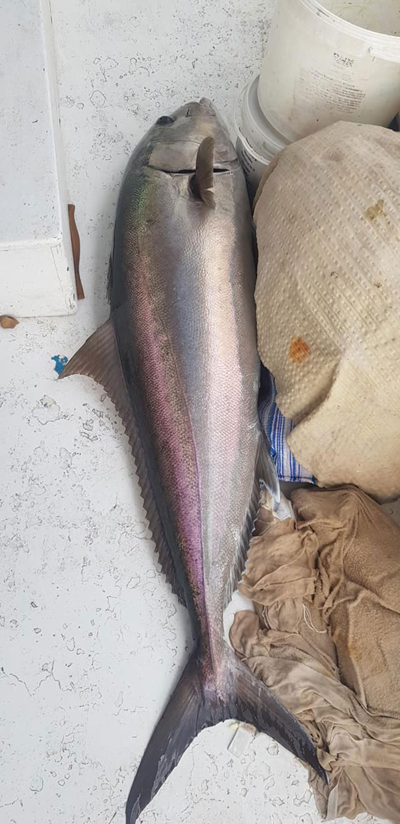 Yat kaptanı Hüseyin Kocairi 2