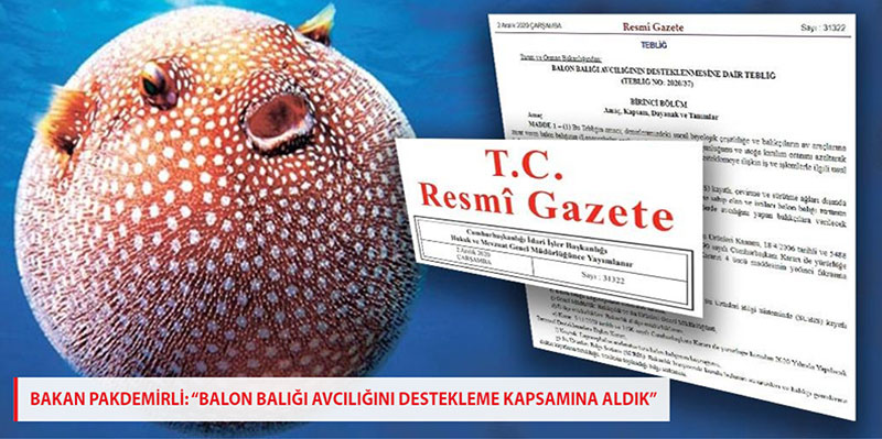 Balon Balığı avcılığna destek ödemesi