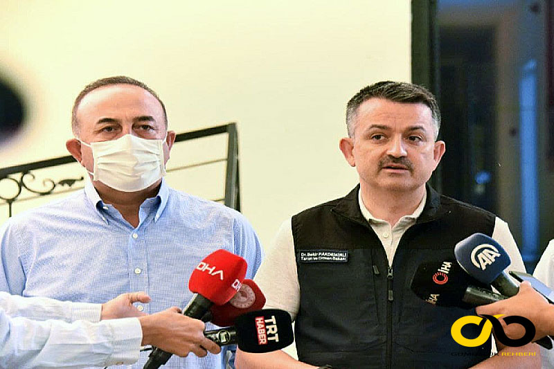 Mevlüt Çavuşoğlu, Bekir Pakdemirli