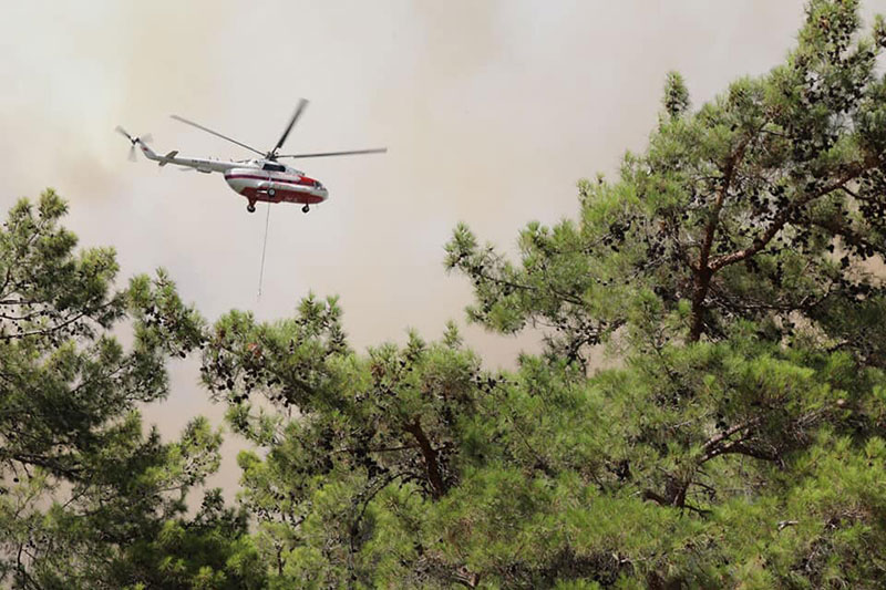 Bodrum, Güvercinlik orman yangını, 29 Temmuz 2021 - GHA 4