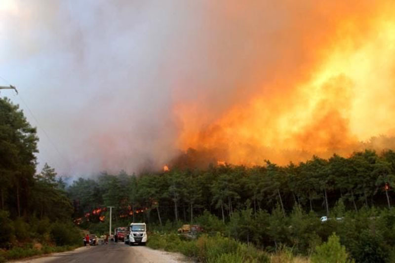 Çökertme orman yangını 1 Ağustos 2021 2