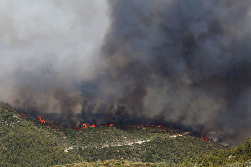 Bodrum orman yangınlar, 01.08.2021