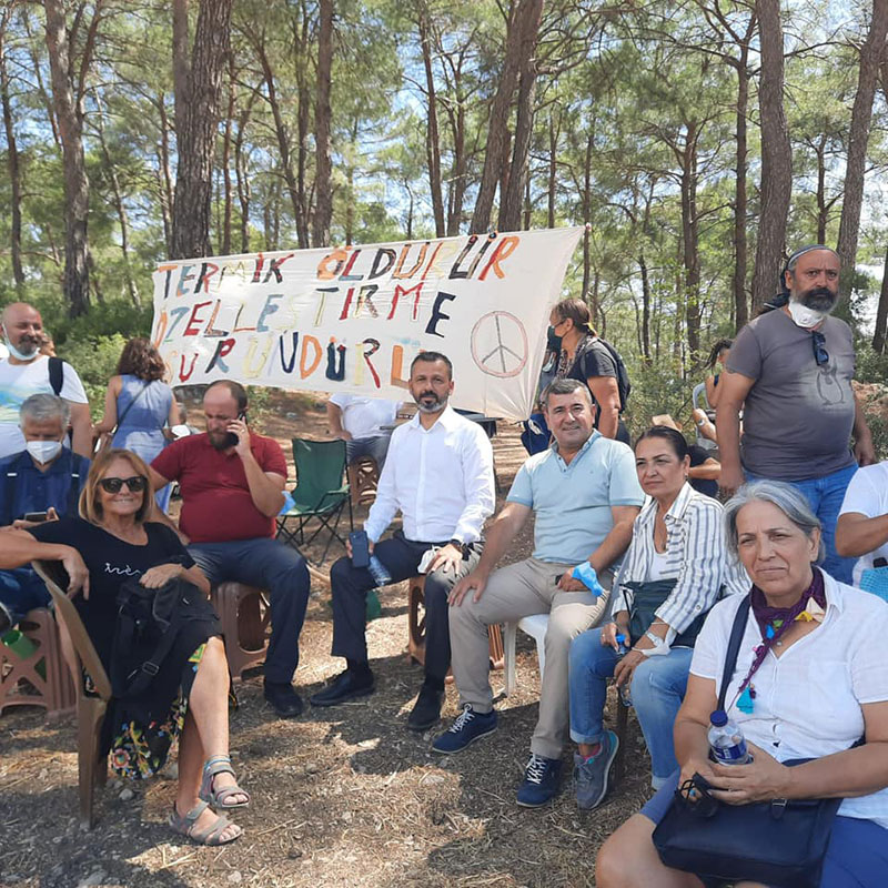 Milas İkizköy’de, Akbelen ormanları