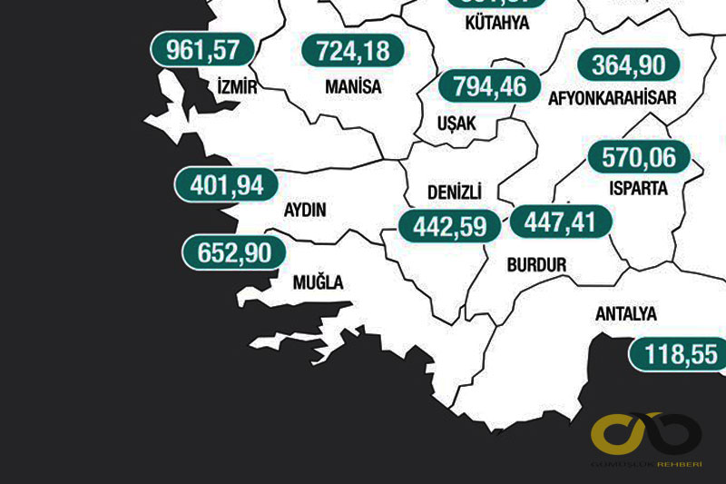 En çok vaka görülen iller açıklandı 1