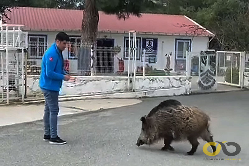 Hayatın İçinden Haberler 1