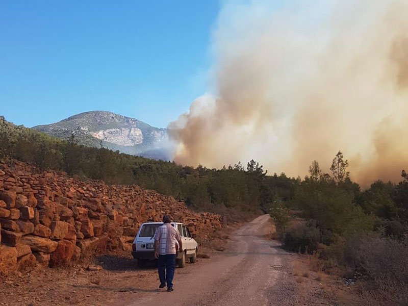 Forest fire in Mersin Gülnar 6