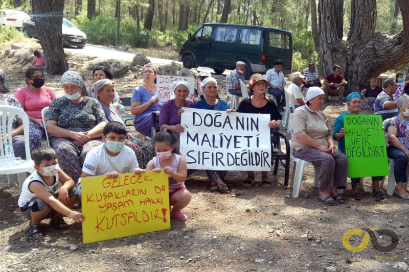 Milas, İkiz Köy Akbelen ormanlarındaki maden sahası 3