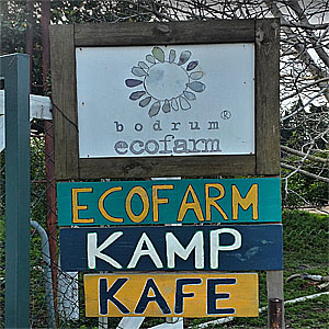 Ecofarm Kamp & Hostel, gümüşlük