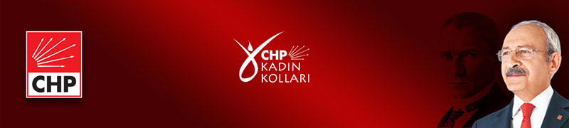 CHP Gümüşlük'te kadınlar toplantısı 3