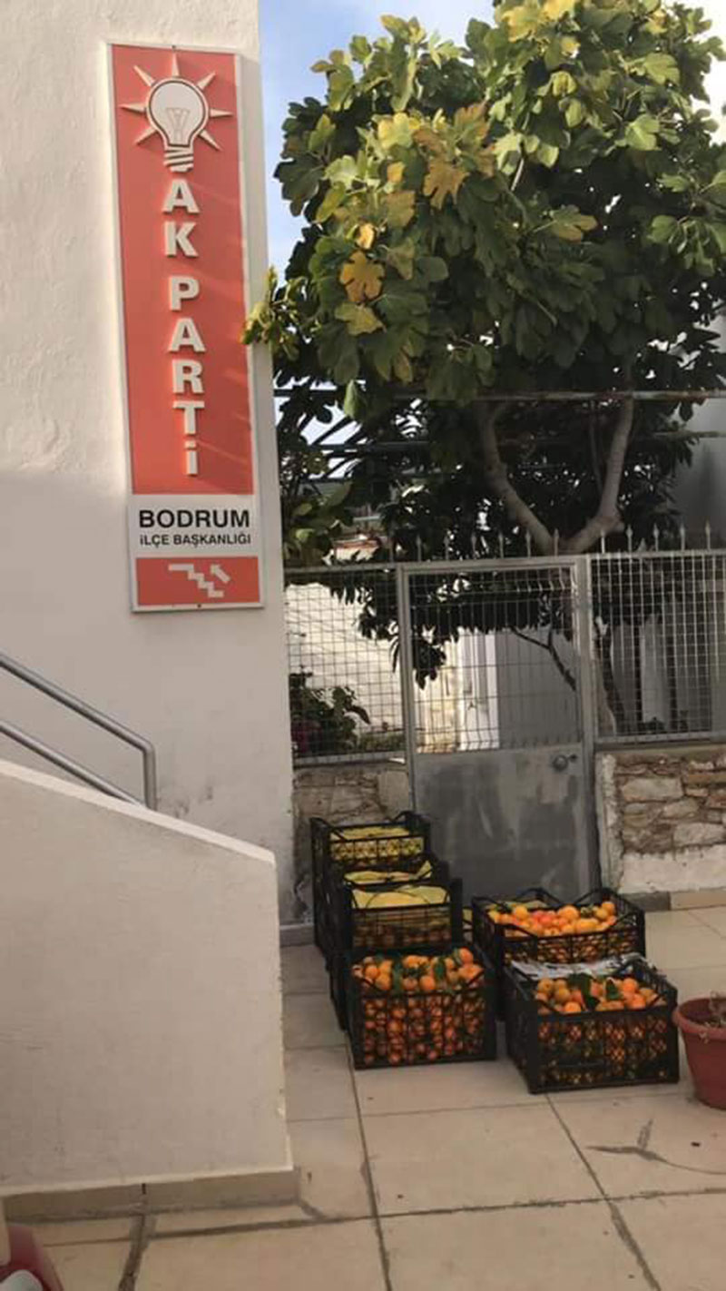 Ak Parti Bodrum ilçeden mandalina etkinliği